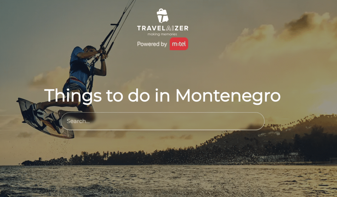 Travelaizer official / screenshot